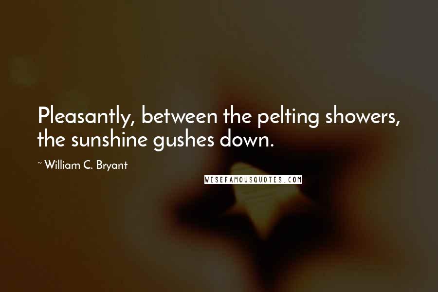 William C. Bryant quotes: Pleasantly, between the pelting showers, the sunshine gushes down.