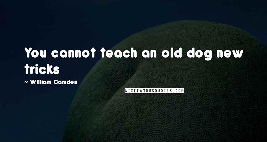 William Camden quotes: You cannot teach an old dog new tricks