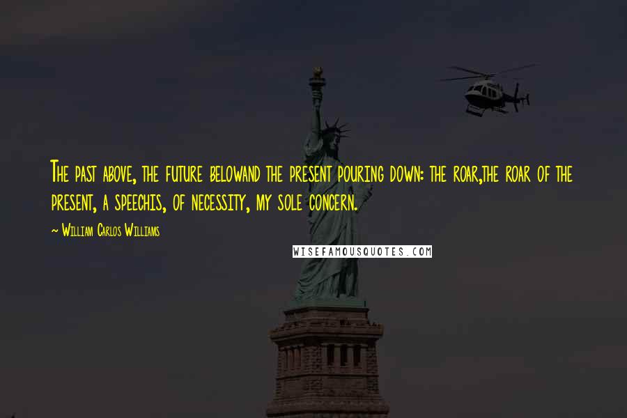 William Carlos Williams quotes: The past above, the future belowand the present pouring down: the roar,the roar of the present, a speechis, of necessity, my sole concern.