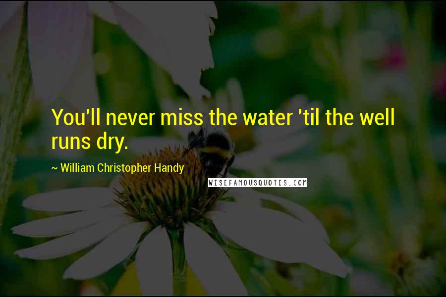 William Christopher Handy quotes: You'll never miss the water 'til the well runs dry.