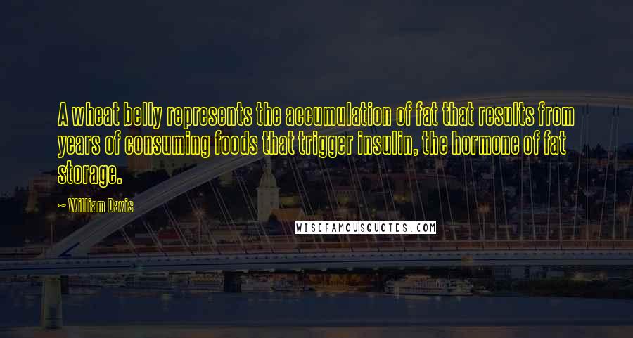 William Davis quotes: A wheat belly represents the accumulation of fat that results from years of consuming foods that trigger insulin, the hormone of fat storage.