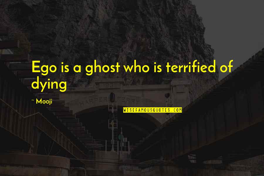 William Donald Schaefer Quotes By Mooji: Ego is a ghost who is terrified of
