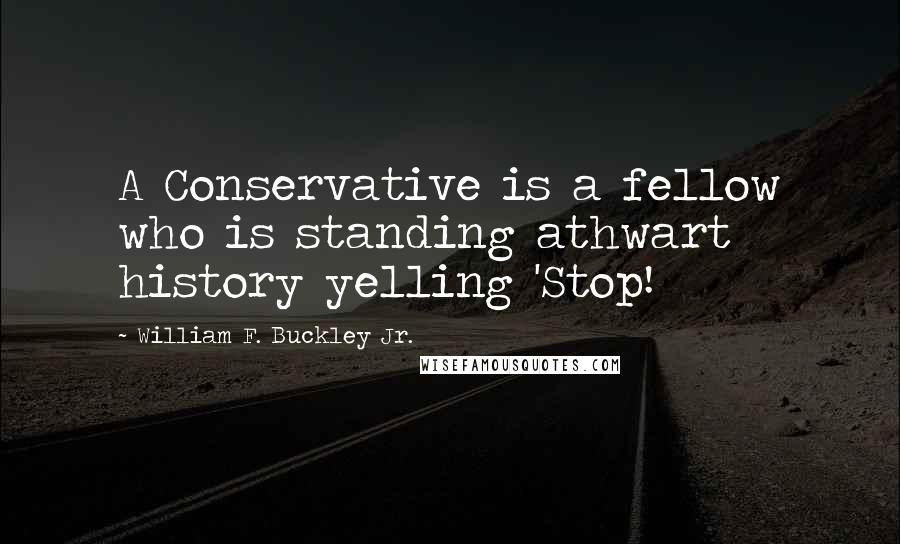 William F. Buckley Jr. quotes: A Conservative is a fellow who is standing athwart history yelling 'Stop!
