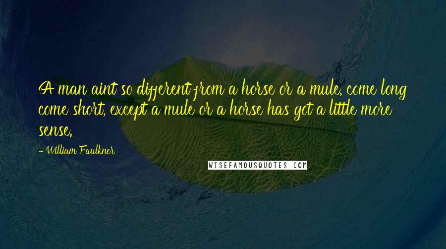 William Faulkner quotes: A man aint so different from a horse or a mule, come long come short, except a mule or a horse has got a little more sense.