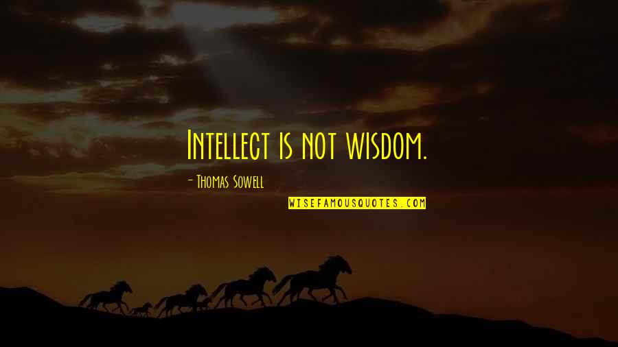 William Forsythe Quotes By Thomas Sowell: Intellect is not wisdom. William Forsythe Quotes By Thomas Sowell: Intellect is not wisdom.