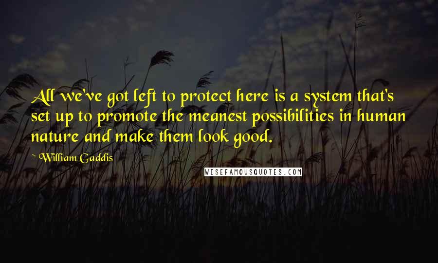 William Gaddis quotes: All we've got left to protect here is a system that's set up to promote the meanest possibilities in human nature and make them look good.