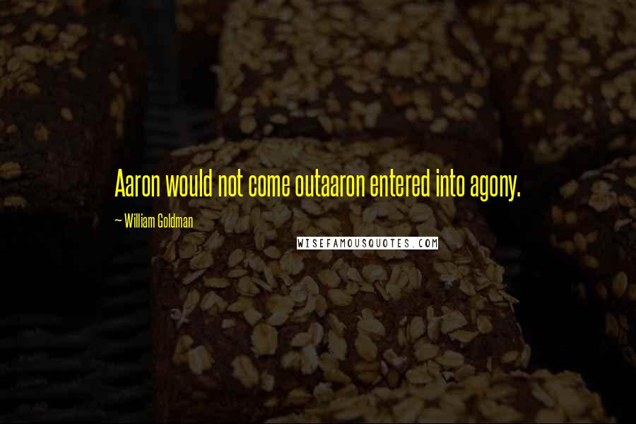 William Goldman quotes: Aaron would not come outaaron entered into agony.