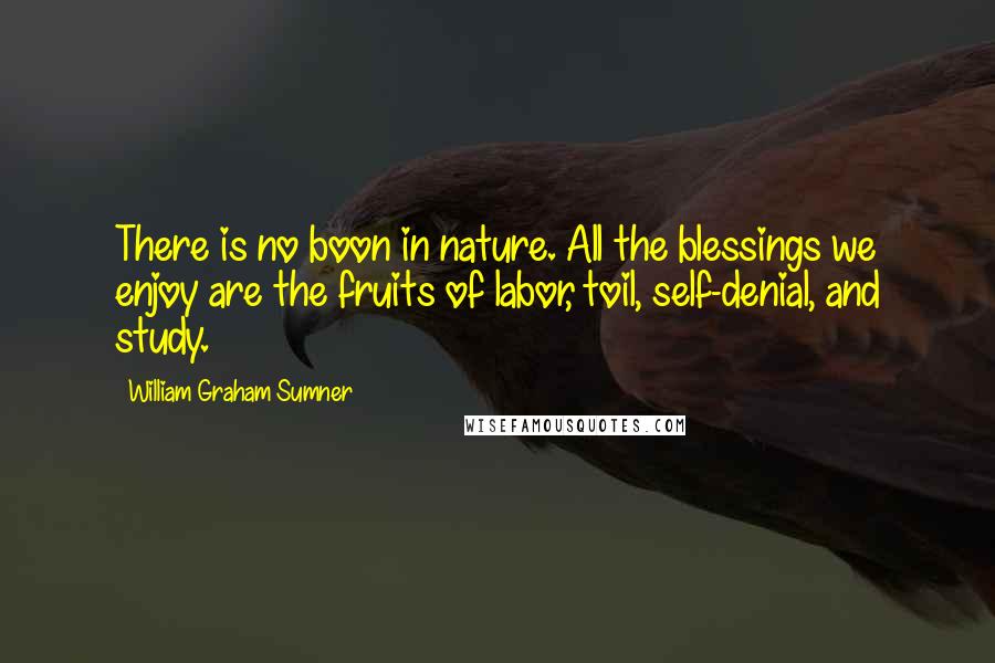 William Graham Sumner quotes: There is no boon in nature. All the blessings we enjoy are the fruits of labor, toil, self-denial, and study.