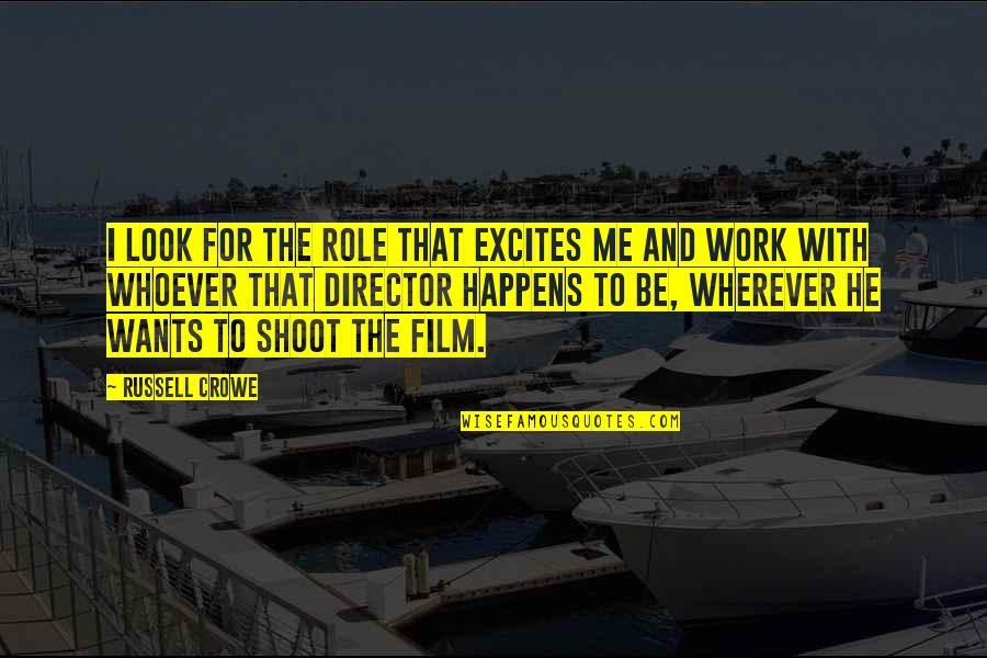 William H Carney Quotes By Russell Crowe: I look for the role that excites me William H Carney Quotes By Russell Crowe: I look for the role that excites me