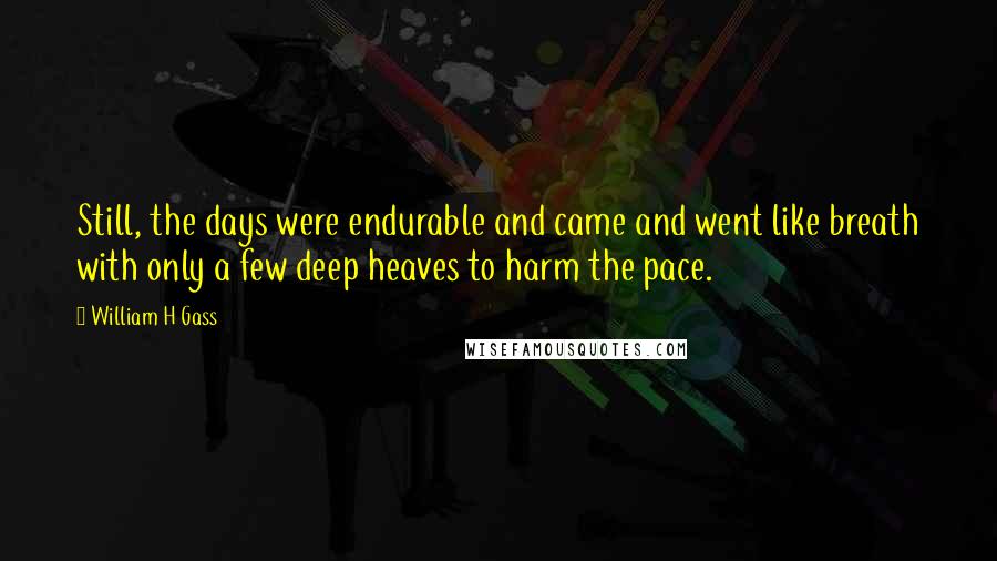 William H Gass quotes: Still, the days were endurable and came and went like breath with only a few deep heaves to harm the pace.