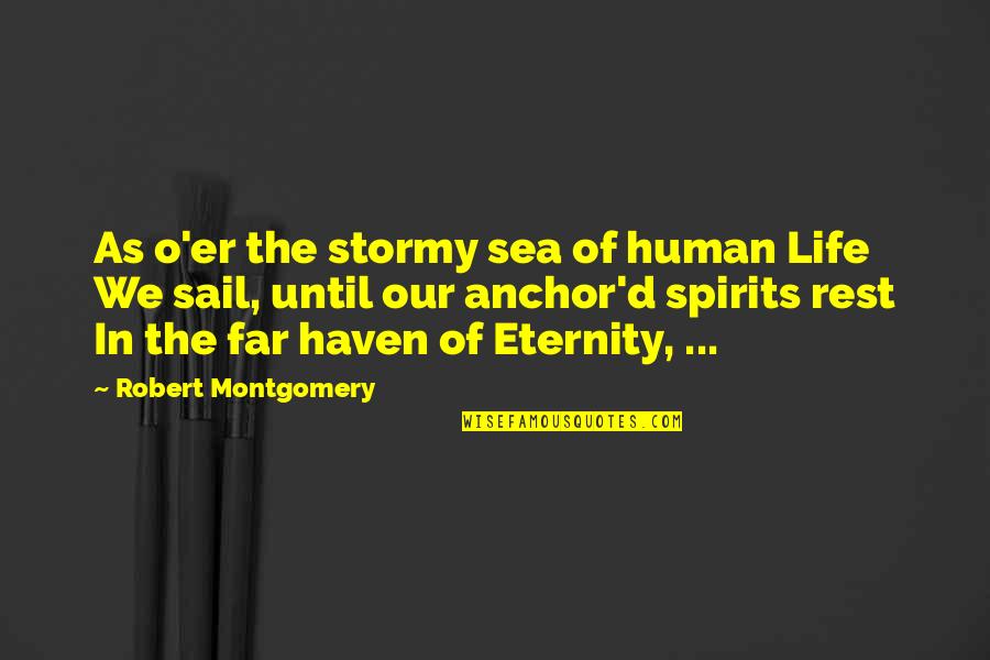 William H. Mcneill Quotes By Robert Montgomery: As o'er the stormy sea of human Life