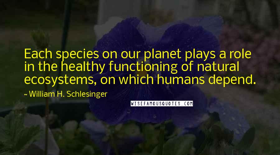 William H. Schlesinger quotes: Each species on our planet plays a role in the healthy functioning of natural ecosystems, on which humans depend.