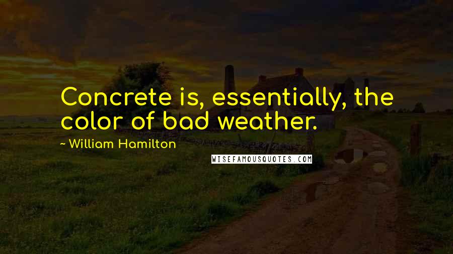 William Hamilton quotes: Concrete is, essentially, the color of bad weather.
