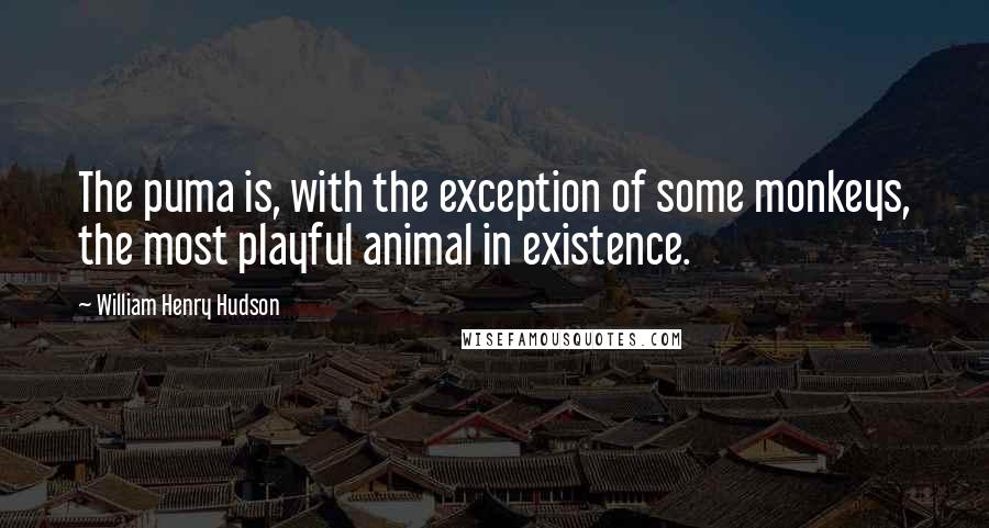 William Henry Hudson quotes: The puma is, with the exception of some monkeys, the most playful animal in existence.
