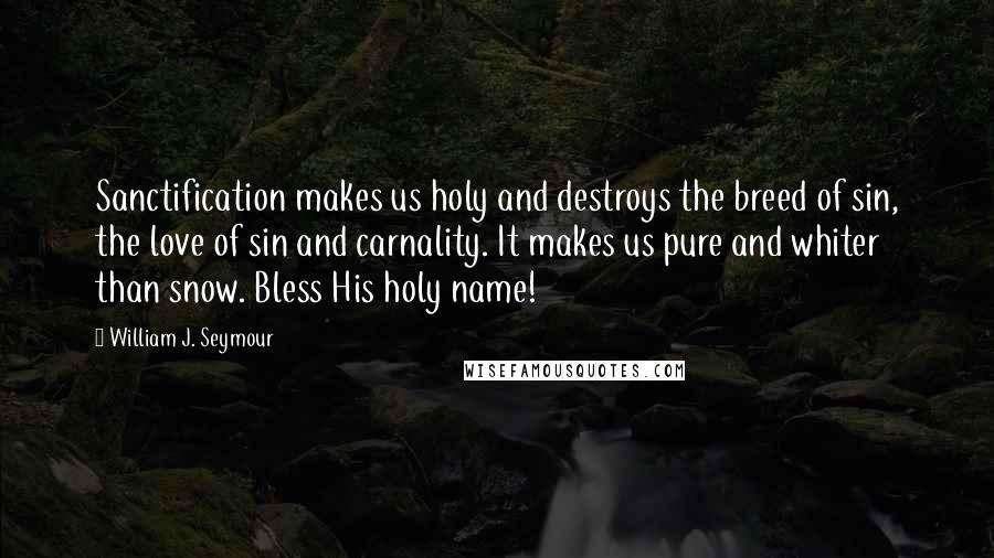 William J. Seymour quotes: Sanctification makes us holy and destroys the breed of sin, the love of sin and carnality. It makes us pure and whiter than snow. Bless His holy name! William J. Seymour quotes: Sanctification makes us holy and destroys the breed of sin, the love of sin and carnality. It makes us pure and whiter than snow. Bless His holy name!