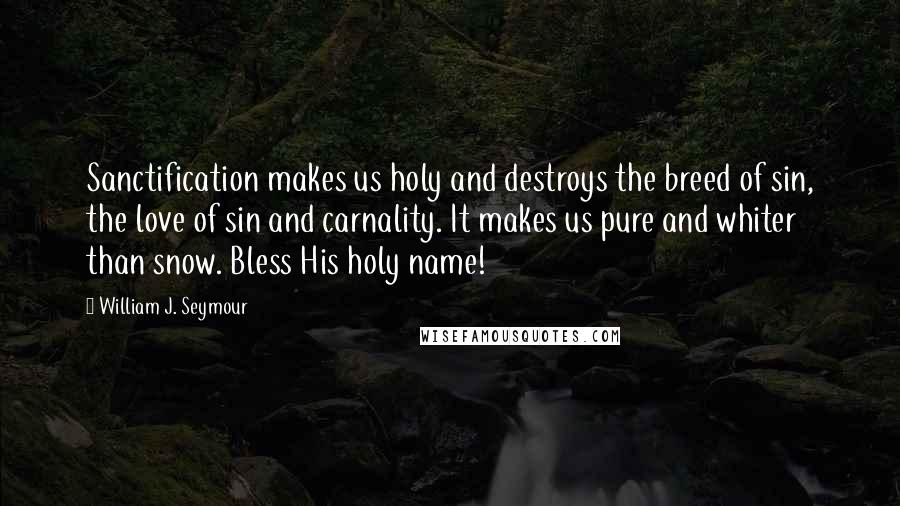 William J. Seymour quotes: Sanctification makes us holy and destroys the breed of sin, the love of sin and carnality. It makes us pure and whiter than snow. Bless His holy name!