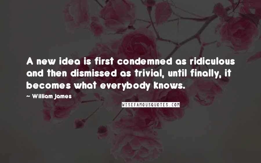 William James quotes: A new idea is first condemned as ridiculous and then dismissed as trivial, until finally, it becomes what everybody knows.