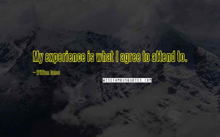 William James quotes: My experience is what I agree to attend to.