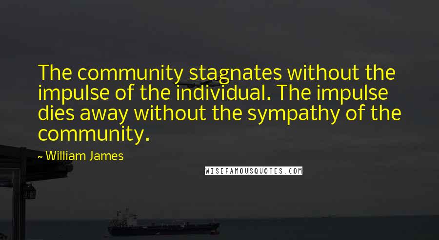 William James quotes: The community stagnates without the impulse of the individual. The impulse dies away without the sympathy of the community.