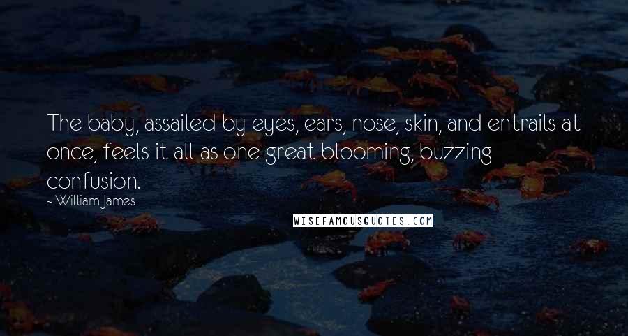 William James quotes: The baby, assailed by eyes, ears, nose, skin, and entrails at once, feels it all as one great blooming, buzzing confusion.