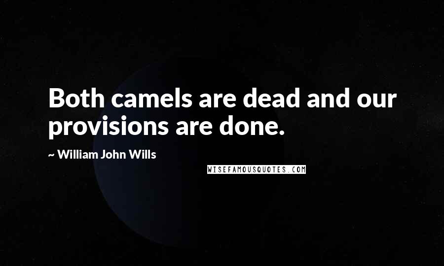 William John Wills quotes: Both camels are dead and our provisions are done.