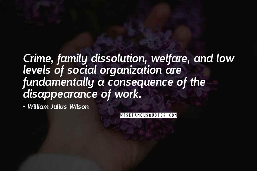 William Julius Wilson quotes: Crime, family dissolution, welfare, and low levels of social organization are fundamentally a consequence of the disappearance of work. William Julius Wilson quotes: Crime, family dissolution, welfare, and low levels of social organization are fundamentally a consequence of the disappearance of work.