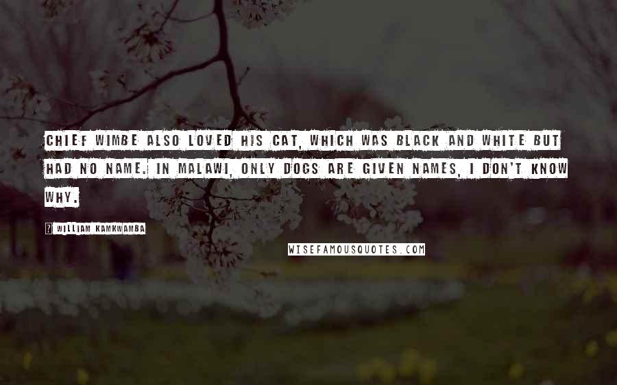 William Kamkwamba quotes: Chief Wimbe also loved his cat, which was black and white but had no name. In Malawi, only dogs are given names, I don't know why.