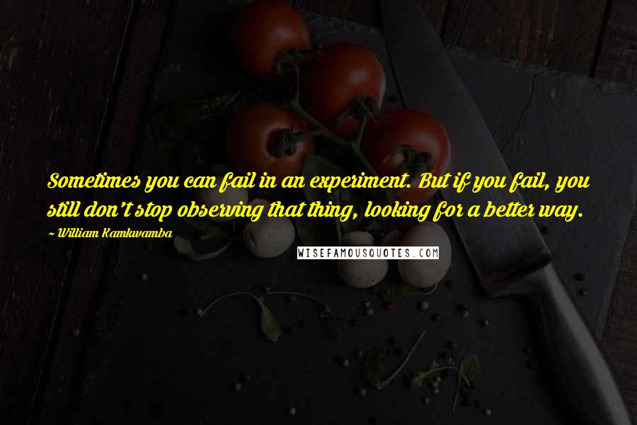 William Kamkwamba quotes: Sometimes you can fail in an experiment. But if you fail, you still don't stop observing that thing, looking for a better way.