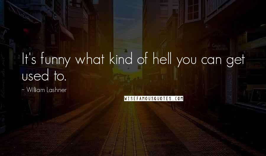 William Lashner quotes: It's funny what kind of hell you can get used to.