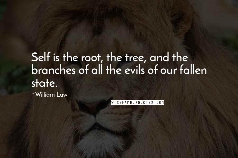 William Law quotes: Self is the root, the tree, and the branches of all the evils of our fallen state.