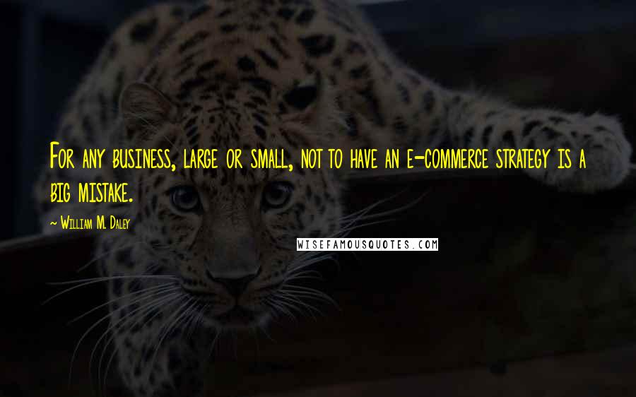 William M. Daley quotes: For any business, large or small, not to have an e-commerce strategy is a big mistake.