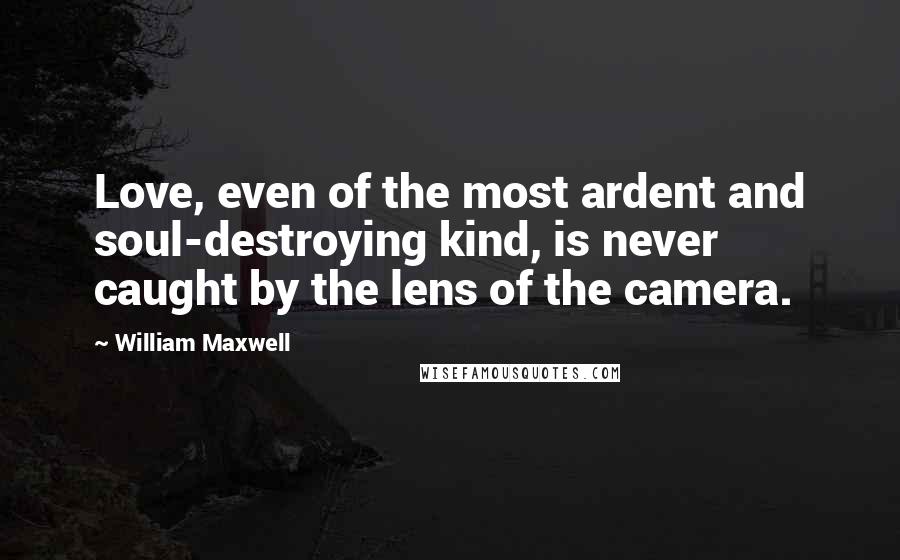 William Maxwell quotes: Love, even of the most ardent and soul-destroying kind, is never caught by the lens of the camera.