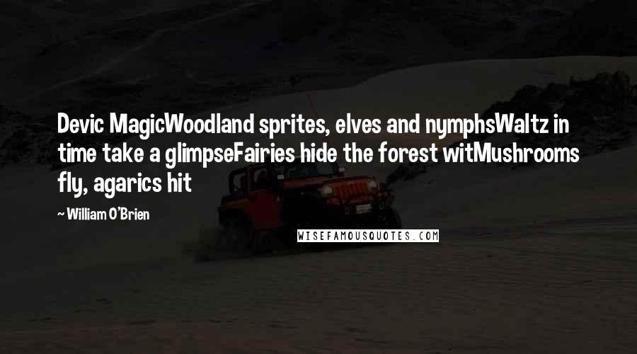 William O'Brien quotes: Devic MagicWoodland sprites, elves and nymphsWaltz in time take a glimpseFairies hide the forest witMushrooms fly, agarics hit