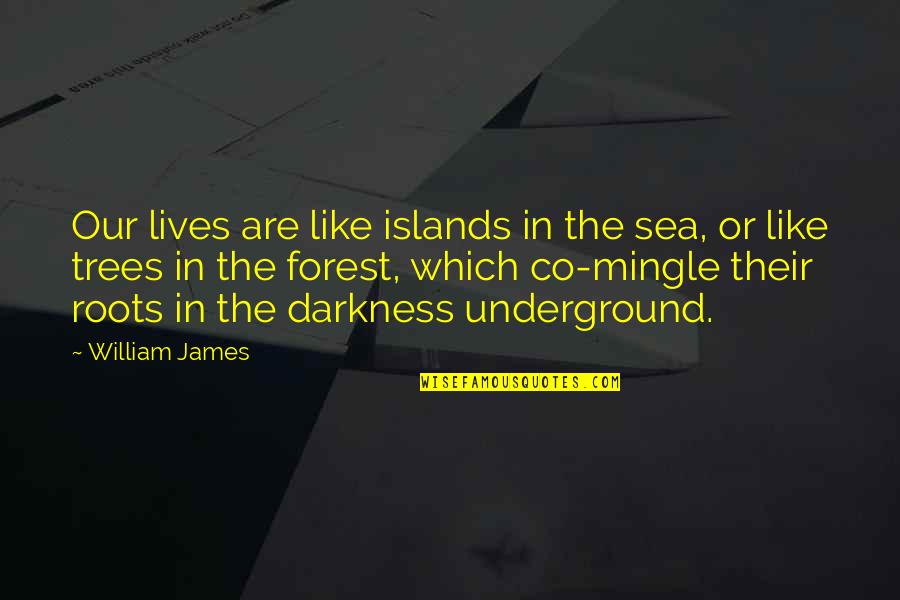 William Parrish Quotes By William James: Our lives are like islands in the sea,