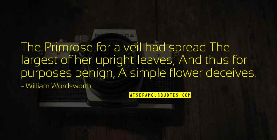 William Primrose Quotes By William Wordsworth: The Primrose for a veil had spread The