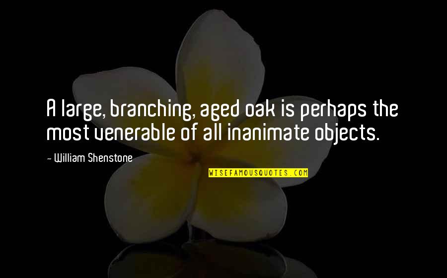 William Quotes By William Shenstone: A large, branching, aged oak is perhaps the