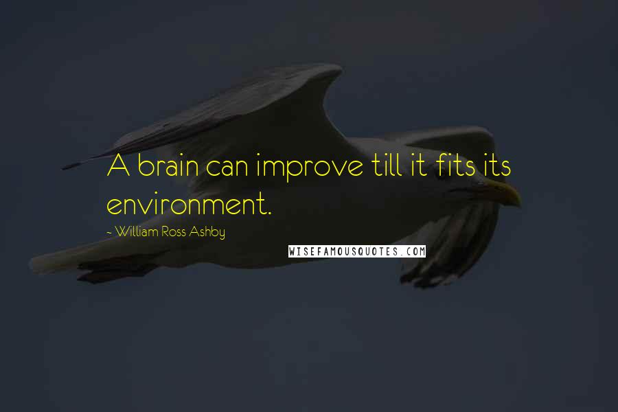 William Ross Ashby quotes: A brain can improve till it fits its environment.
