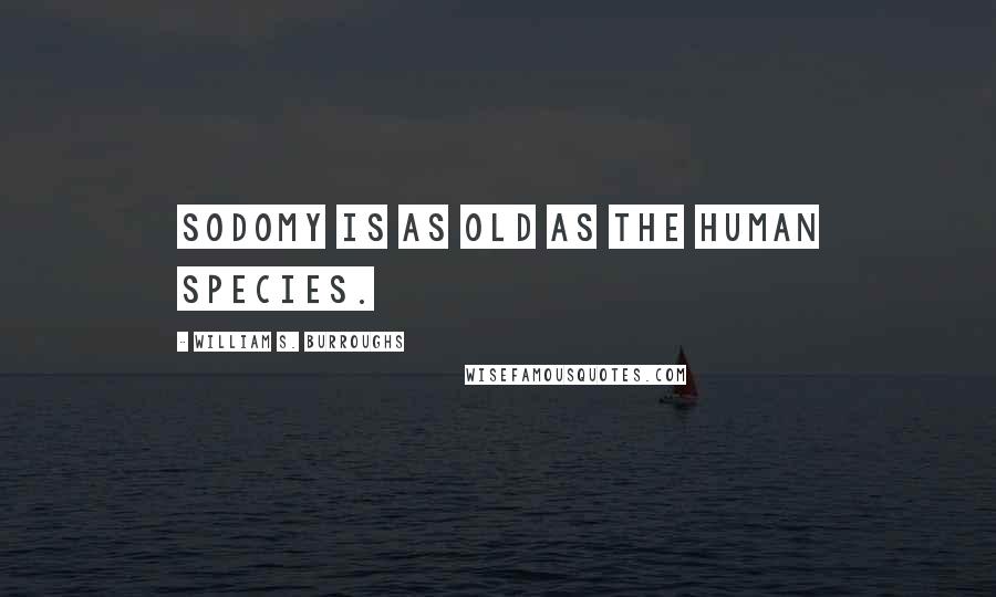 William S. Burroughs quotes: Sodomy is as old as the human species.