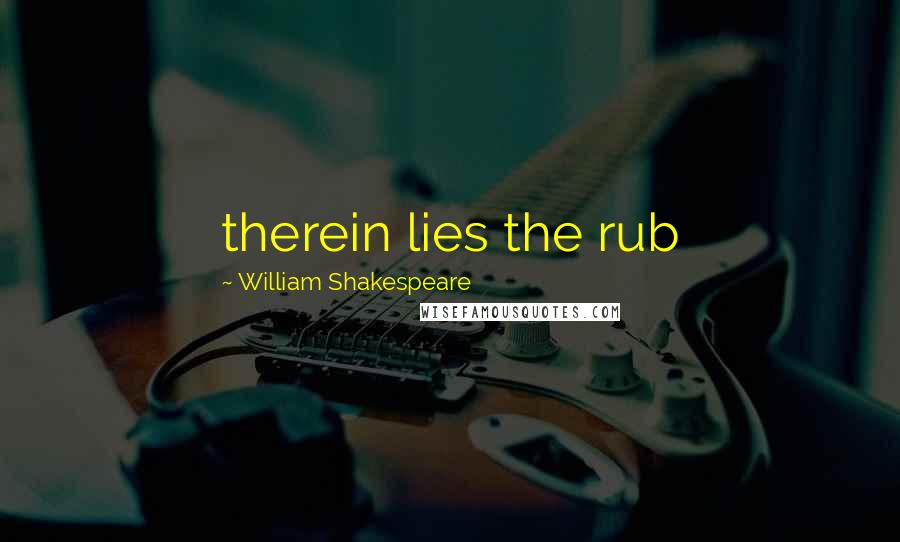 William Shakespeare quotes: therein lies the rub