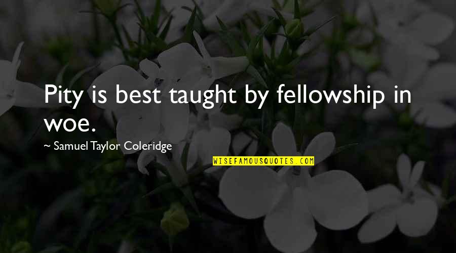 William Shakespeare's Work Quotes By Samuel Taylor Coleridge: Pity is best taught by fellowship in woe.