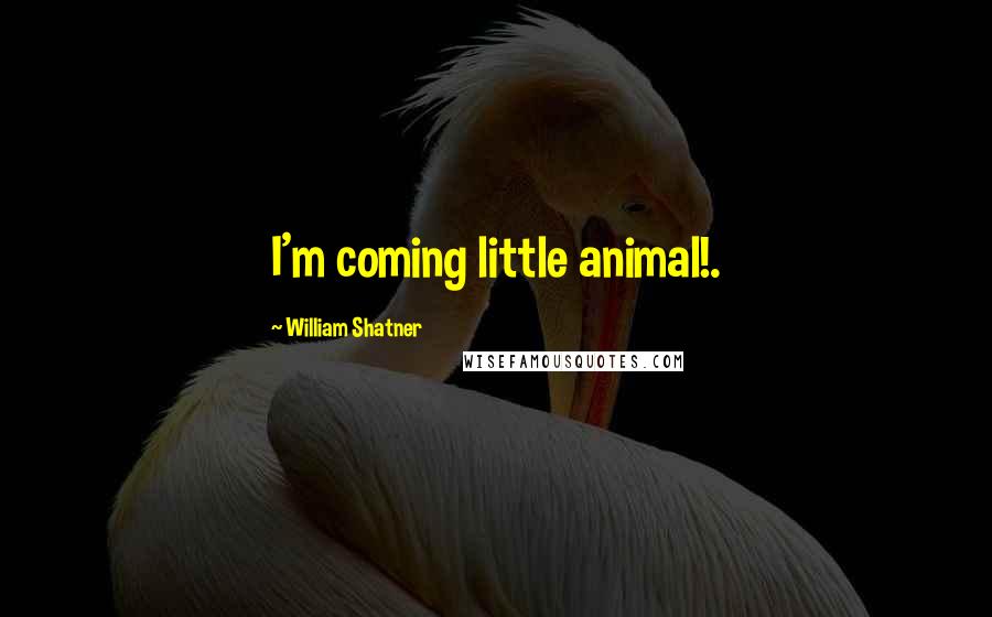 William Shatner quotes: I'm coming little animal!.