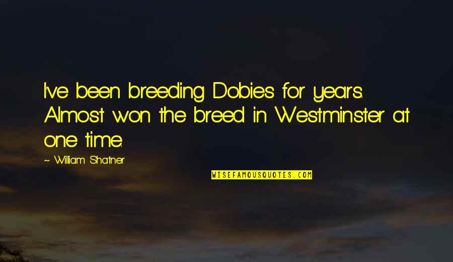 William Shatner Quotes By William Shatner: I've been breeding Dobies for years. Almost won William Shatner Quotes By William Shatner: I've been breeding Dobies for years. Almost won