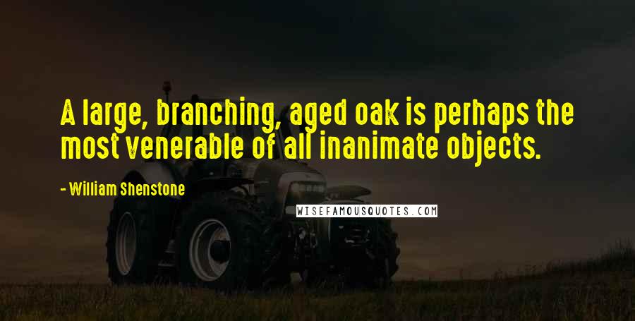 William Shenstone quotes: A large, branching, aged oak is perhaps the most venerable of all inanimate objects. William Shenstone quotes: A large, branching, aged oak is perhaps the most venerable of all inanimate objects.
