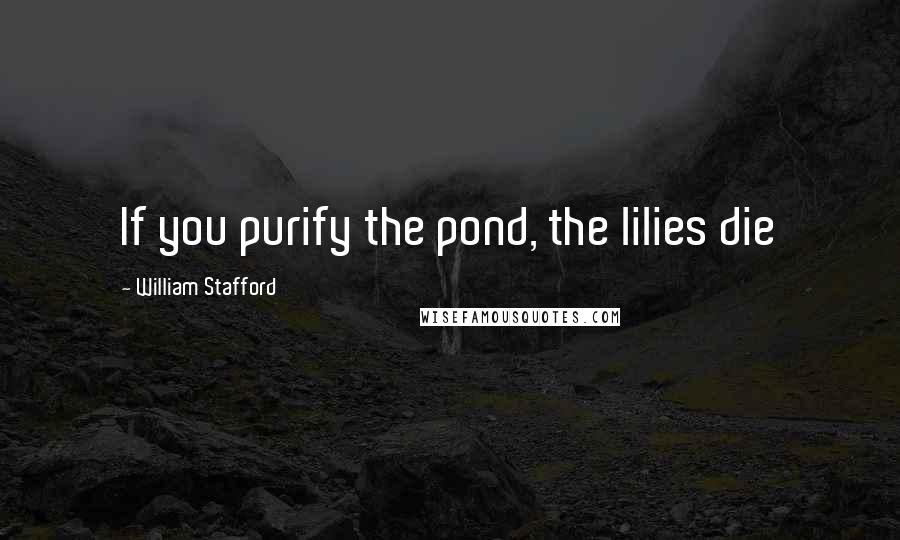 William Stafford quotes: If you purify the pond, the lilies die