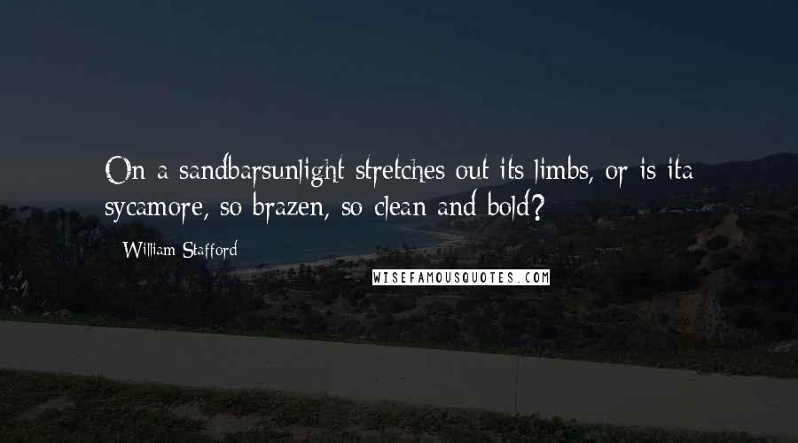 William Stafford quotes: On a sandbarsunlight stretches out its limbs, or is ita sycamore, so brazen, so clean and bold?