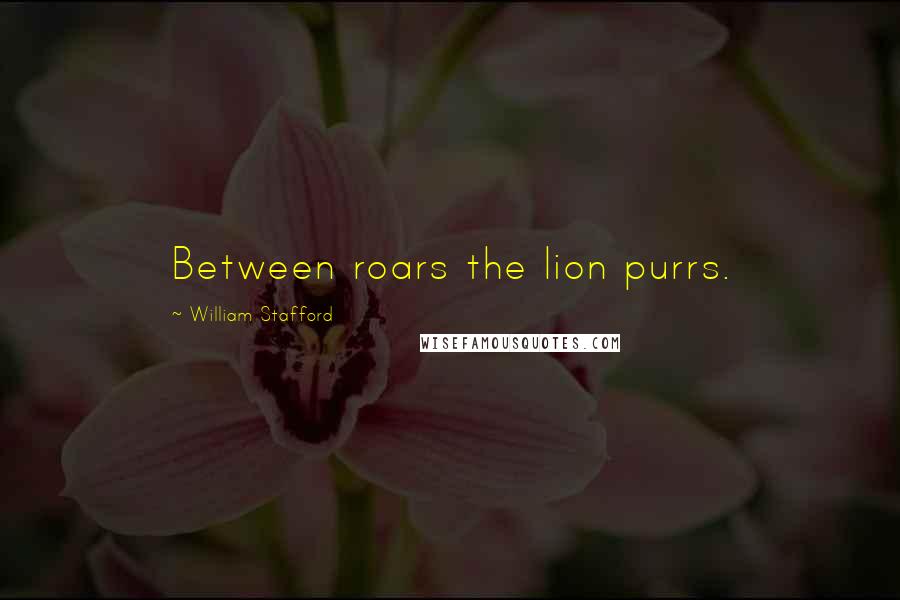 William Stafford quotes: Between roars the lion purrs.