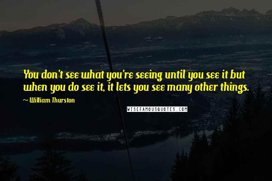 William Thurston quotes: You don't see what you're seeing until you see it but when you do see it, it lets you see many other things.