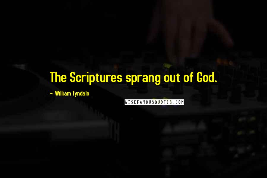 William Tyndale quotes: The Scriptures sprang out of God.