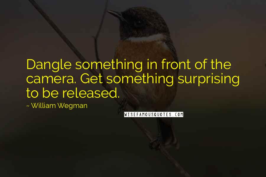 William Wegman quotes: Dangle something in front of the camera. Get something surprising to be released.