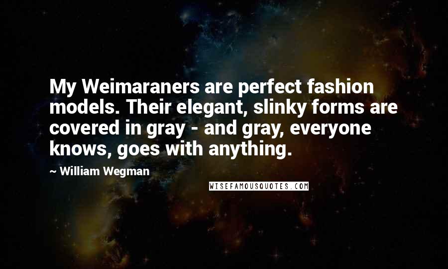 William Wegman quotes: My Weimaraners are perfect fashion models. Their elegant, slinky forms are covered in gray - and gray, everyone knows, goes with anything.